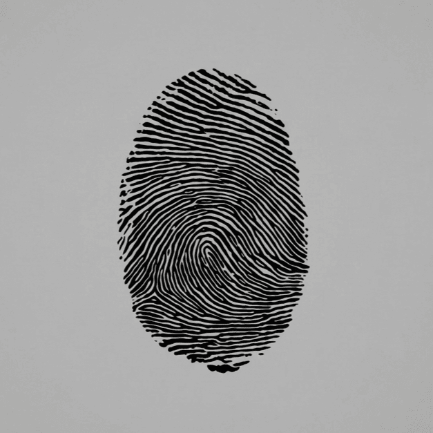 Fingerprint reference